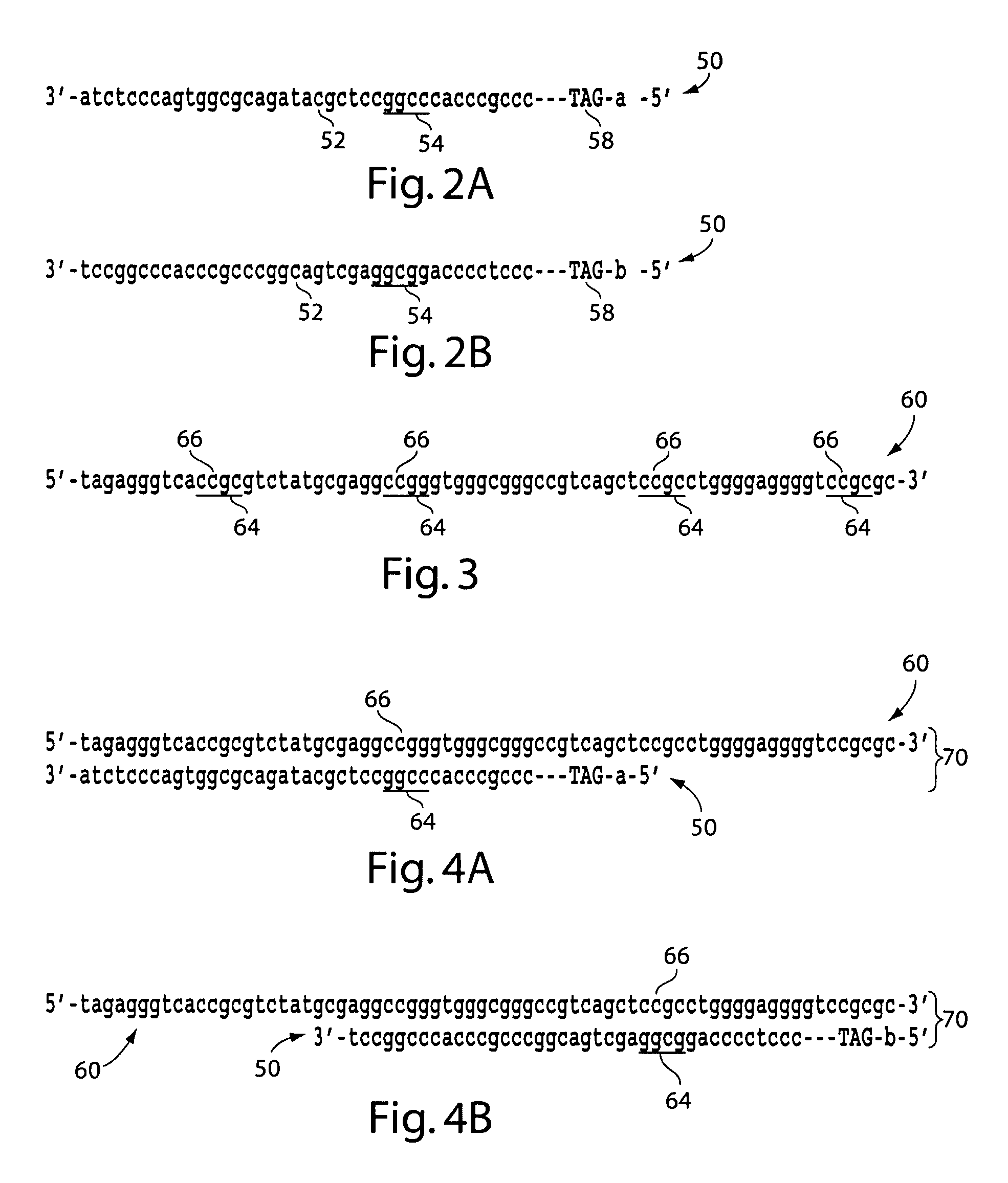 Determination of methylated DNA