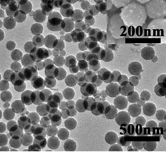 Method for preparing carbon/calcium phosphate/ferroferric oxide composite structured nano particles