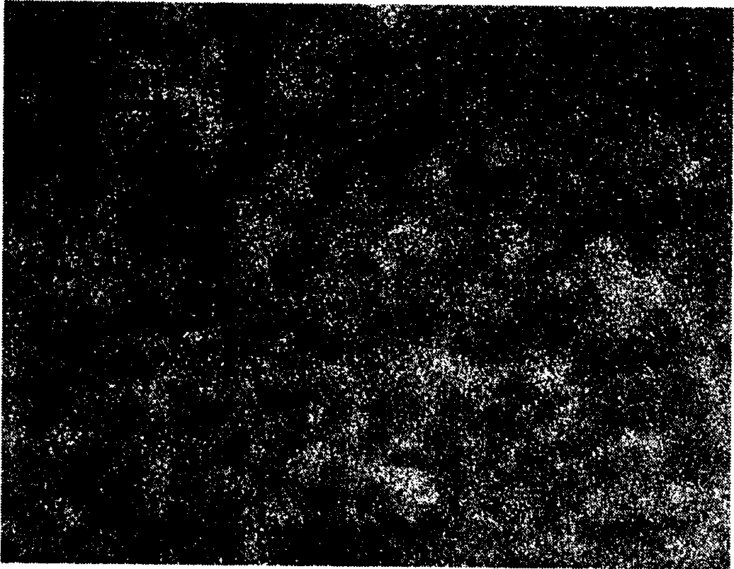 Preparation method of nano-gold particle