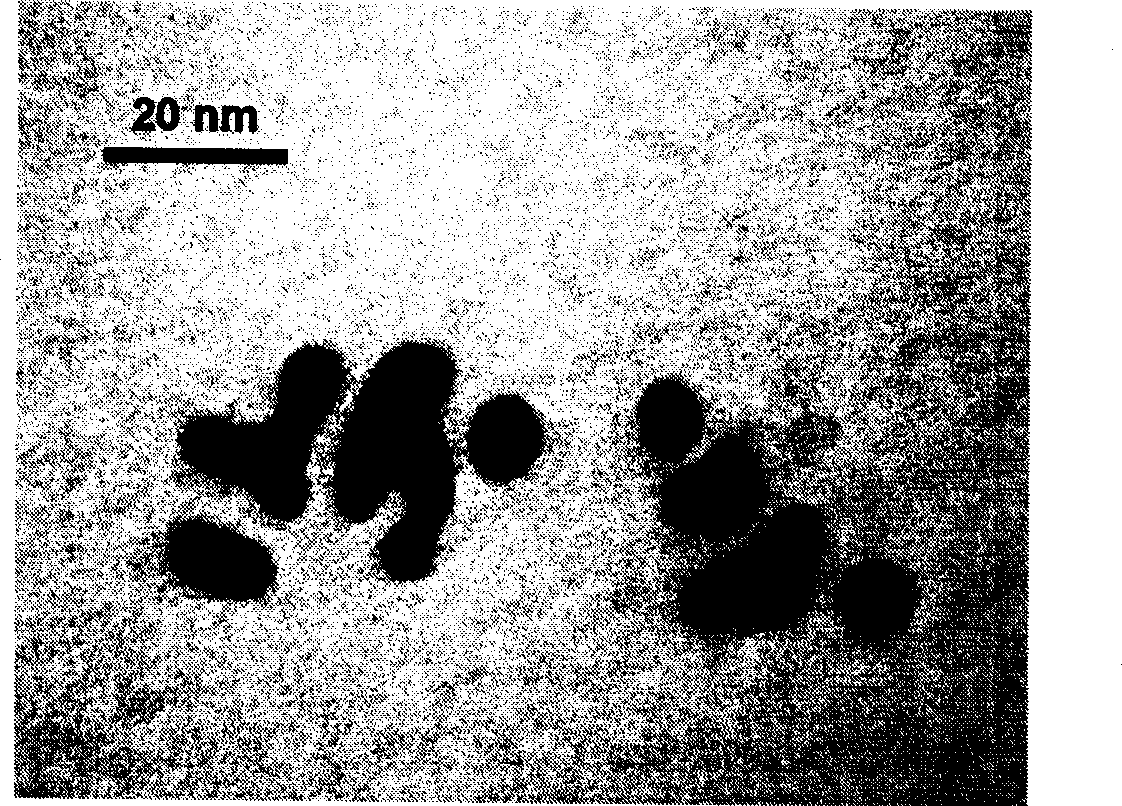 Preparation method of nano-gold particle