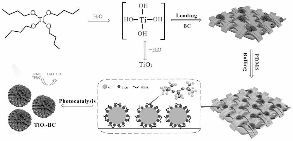 Cotton fabric surface TiO2-BC/PDMS hydrophobic coating and preparation method thereof