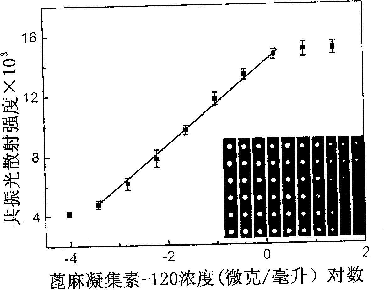 Method for marking and detecting glucide biochip