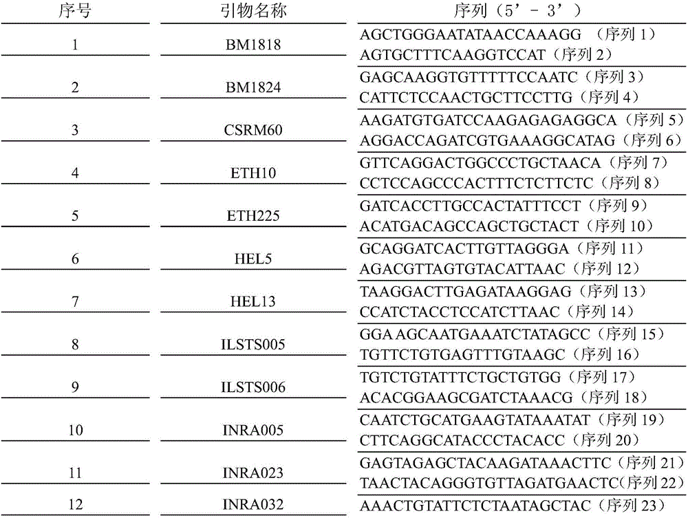 Short-tandem-repeats (STR) primer combination for source-traced identification on beef product and detection kit