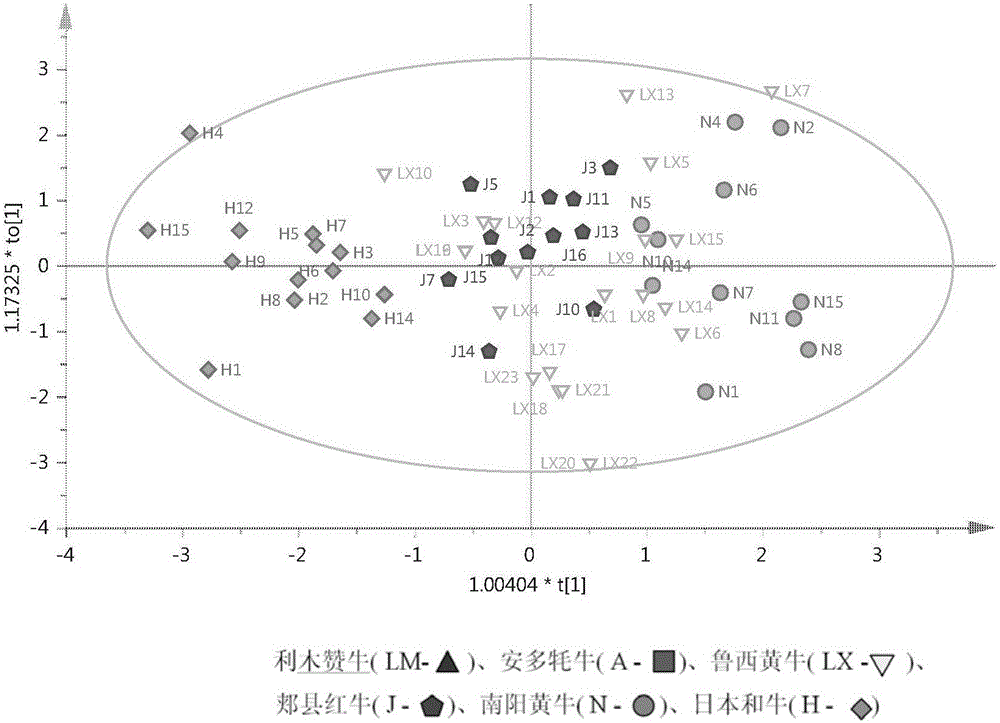 Short-tandem-repeats (STR) primer combination for source-traced identification on beef product and detection kit