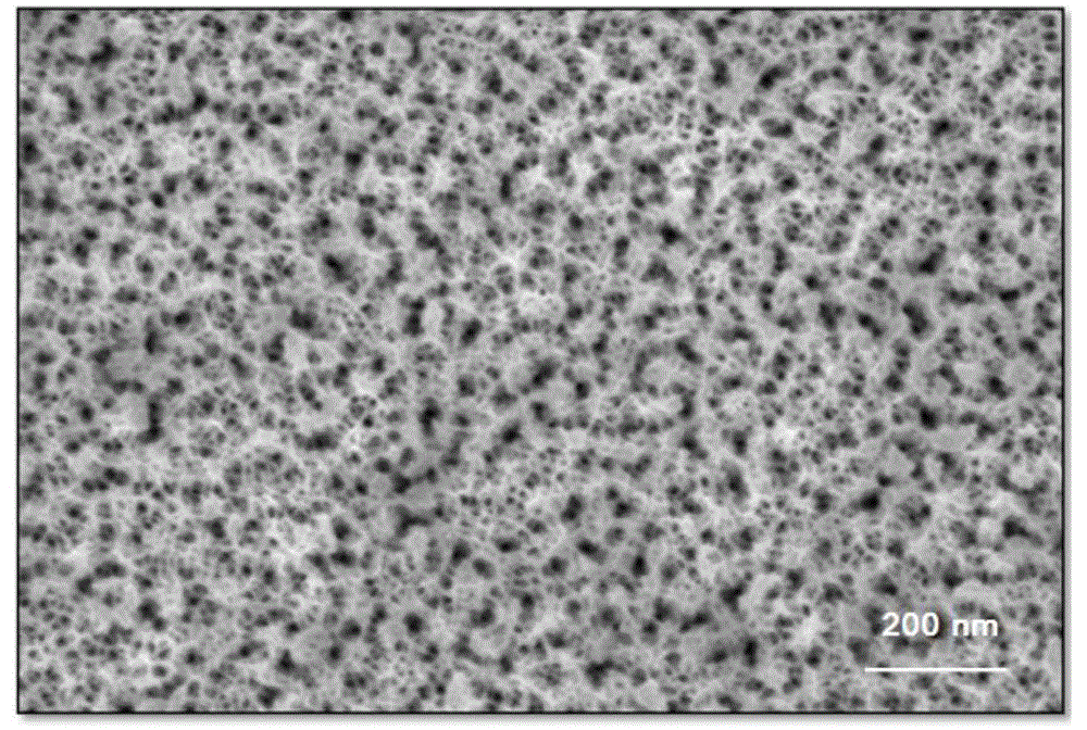 In-situ preparation method of mesoporous alumina loaded with platinum nanoparticles