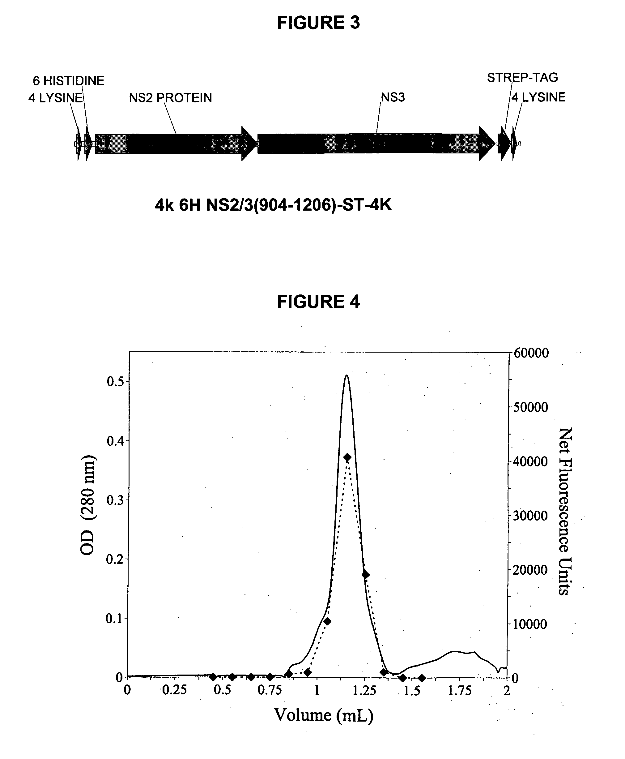 Purified active HCV NS2/3 protease