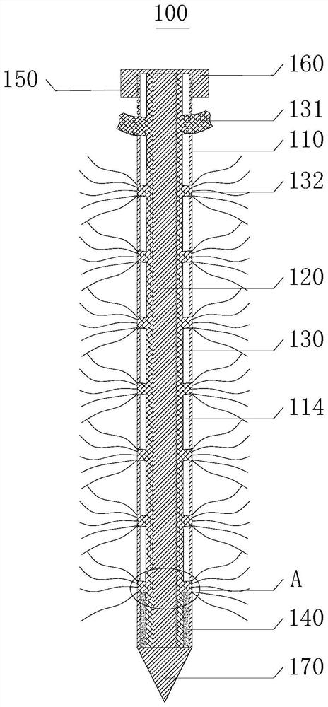 Ecological anchor rod, slope protection system and construction method