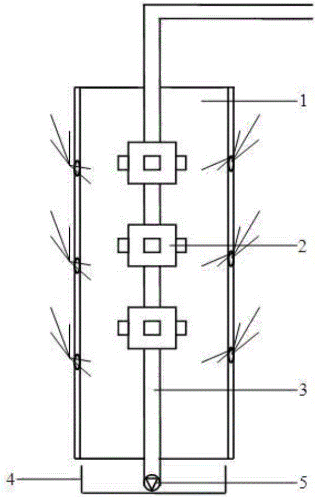 Aeroponic cultivation device for Dendrobium officinale and cultivation method for Dendrobium officinale