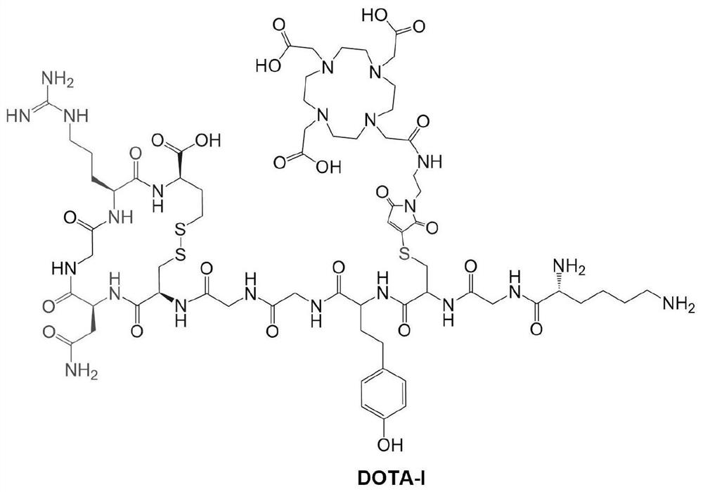 Cyclic NGR polypeptide, radionuclide labeled molecular probe and application thereof