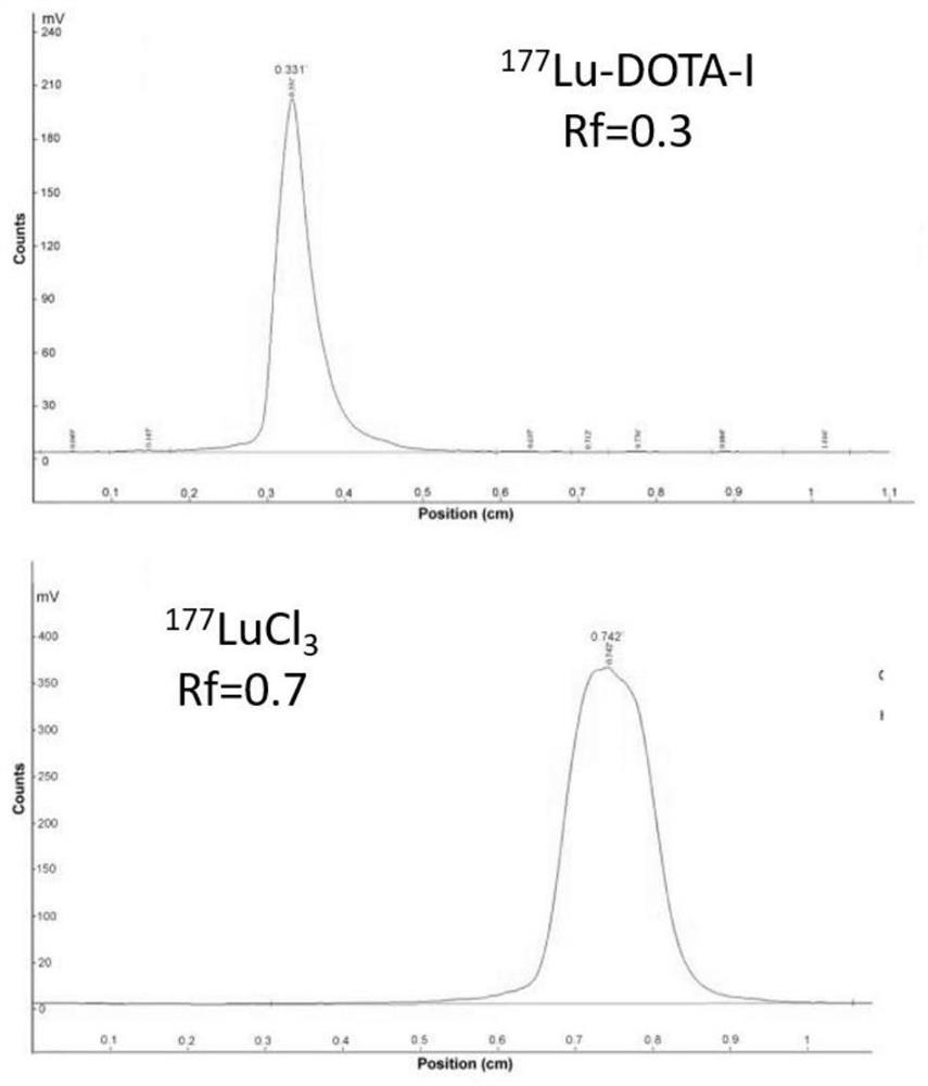 Cyclic NGR polypeptide, radionuclide labeled molecular probe and application thereof