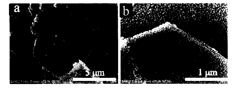 Adsorbing agent for adsorbing phosphate groups and adsorption method