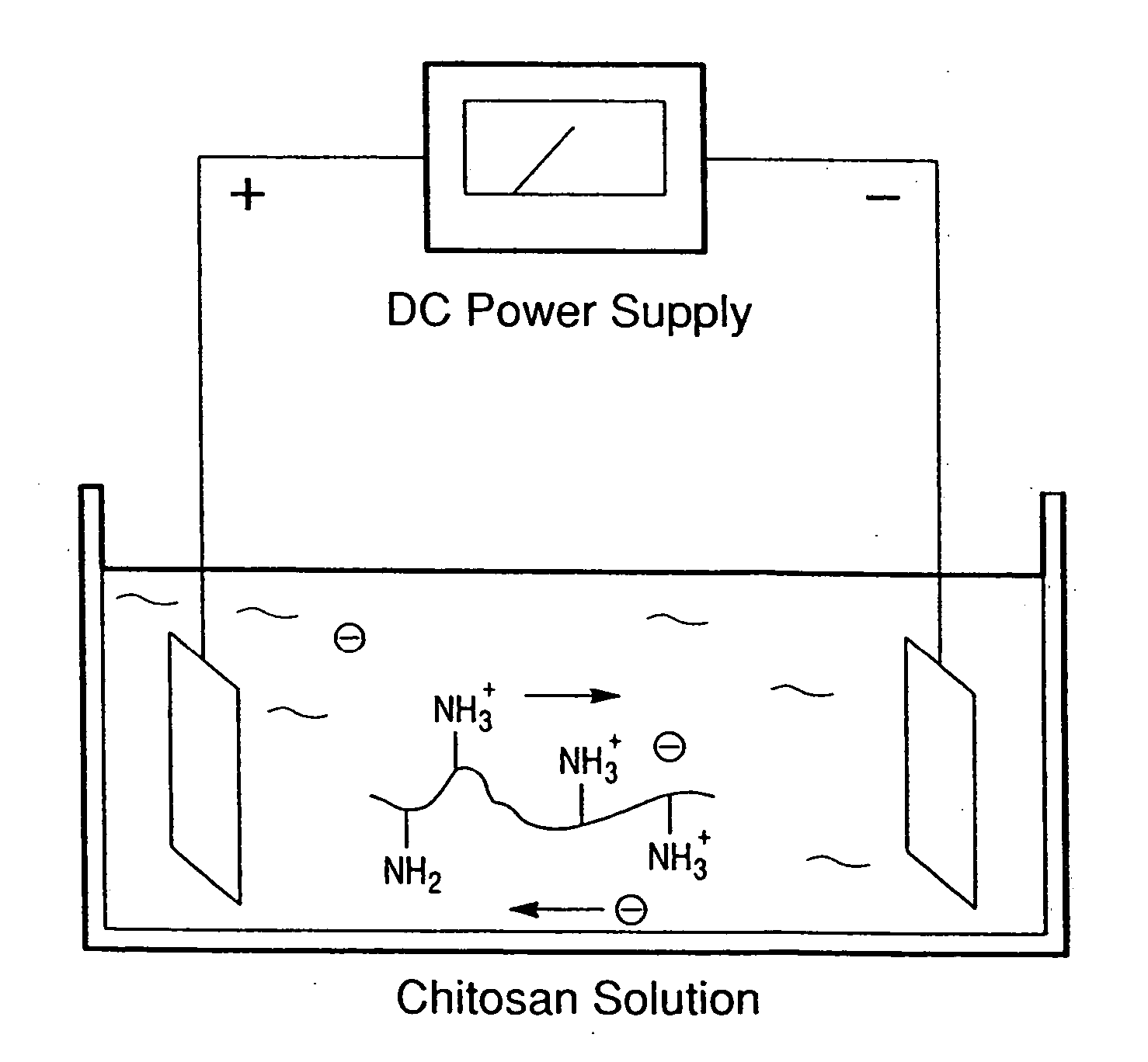 Spatially selective deposition of polysaccharide layer onto patterned template