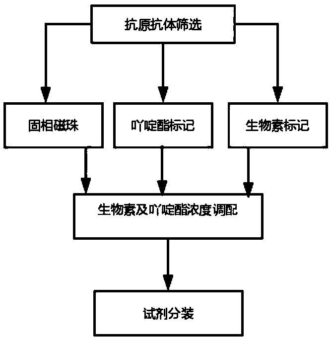 Chemiluminescence immunoassay assay determination kit for detecting human growth hormone and preparation method thereof