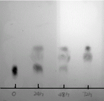 Deglycosylated holothurian secondary saponin and preparation method thereof