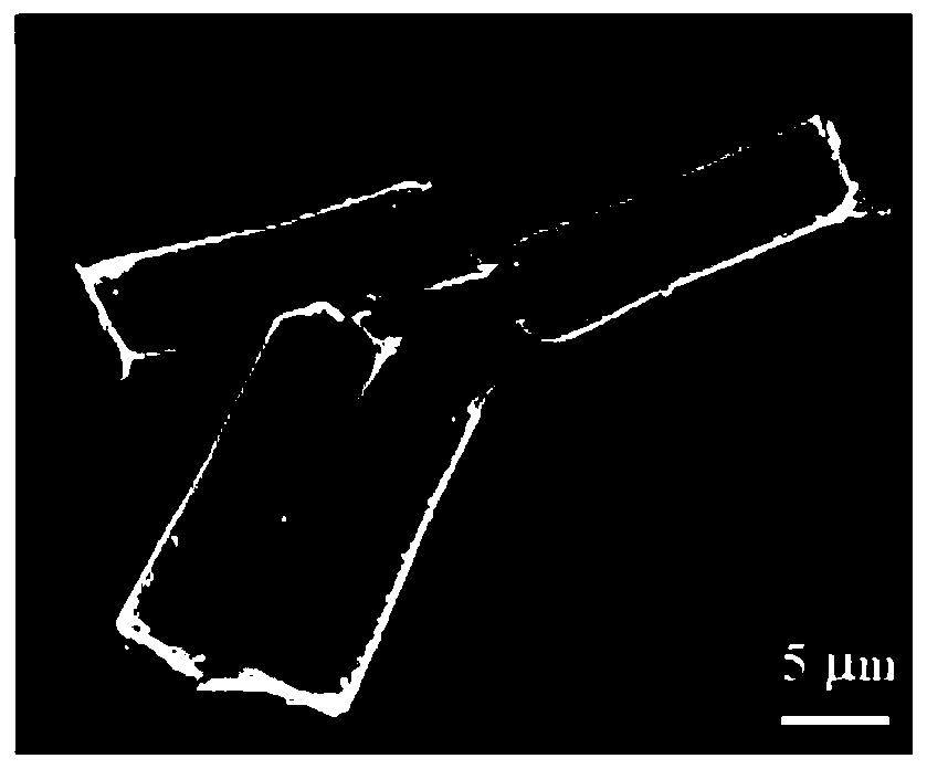 High specific surface hollow tubular micromotor, preparation method and application