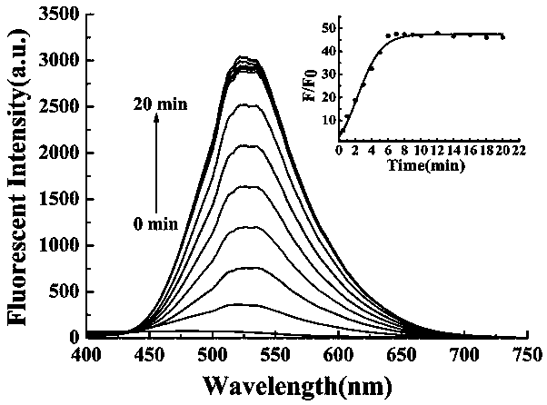 Preparation method and application of turn-on type mercury ion fluorescence probe