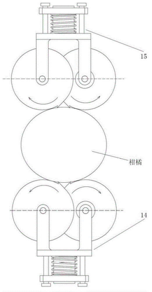 Skin scratching device for citrus peeling machine