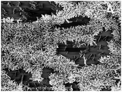 Gas sensor based on copper oxide/zinc oxide heterostructure and its preparation method