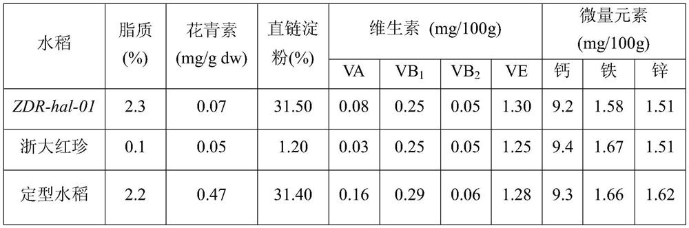 A kind of breeding method of red endosperm rice