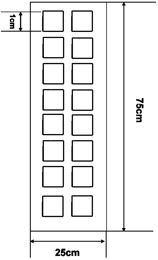 Systemic lupus erythematosus (SLE) autoantibody detector