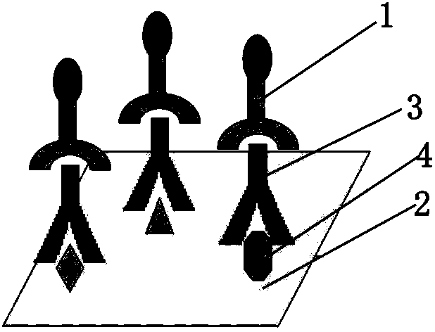 Systemic lupus erythematosus (SLE) autoantibody detector