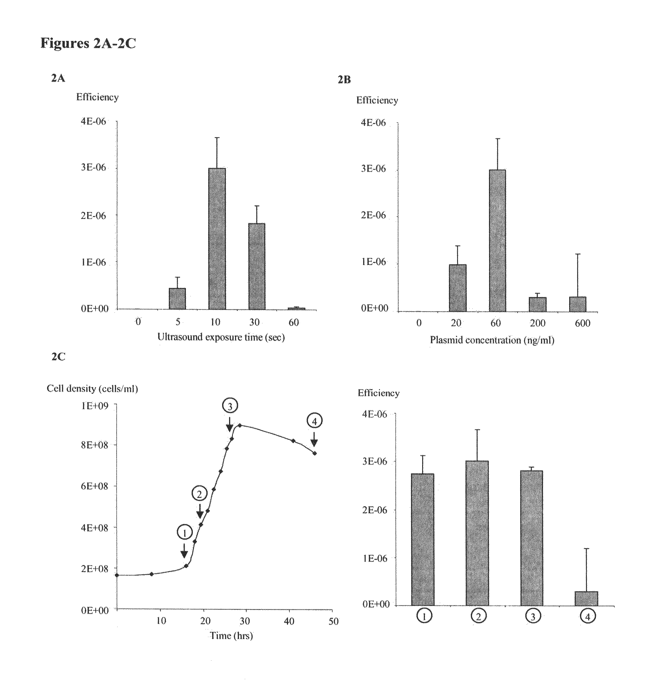 Transformation of gram positive bacteria by sonoporation