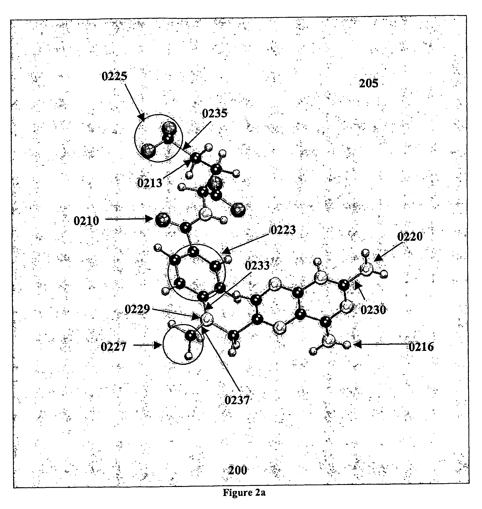 Method and apparatus for analysis of molecular combination based on computations of shape complementarity using basis expansions