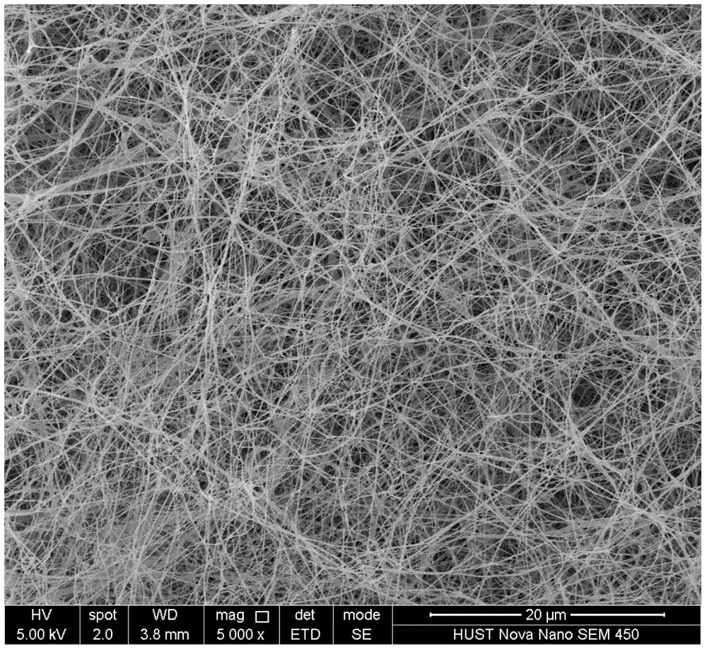 Method for immobilizing clostridium acetobutylicum by use of bacterial cellulose membrane