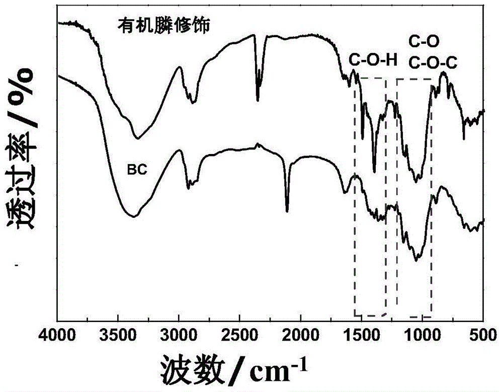 Method for immobilizing clostridium acetobutylicum by use of bacterial cellulose membrane