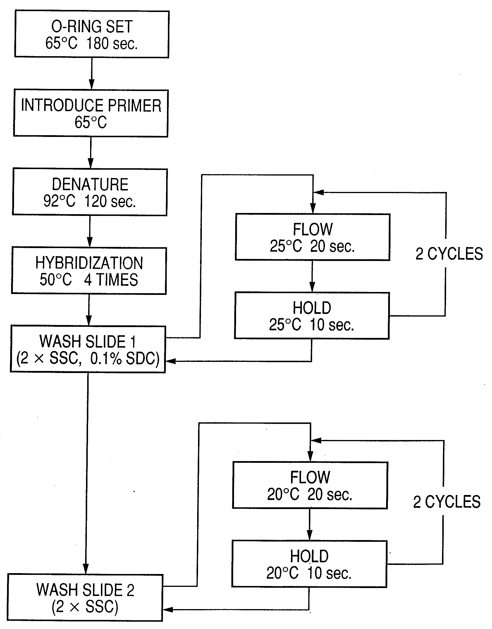 Probe, probe set, probe carrier, and testing method