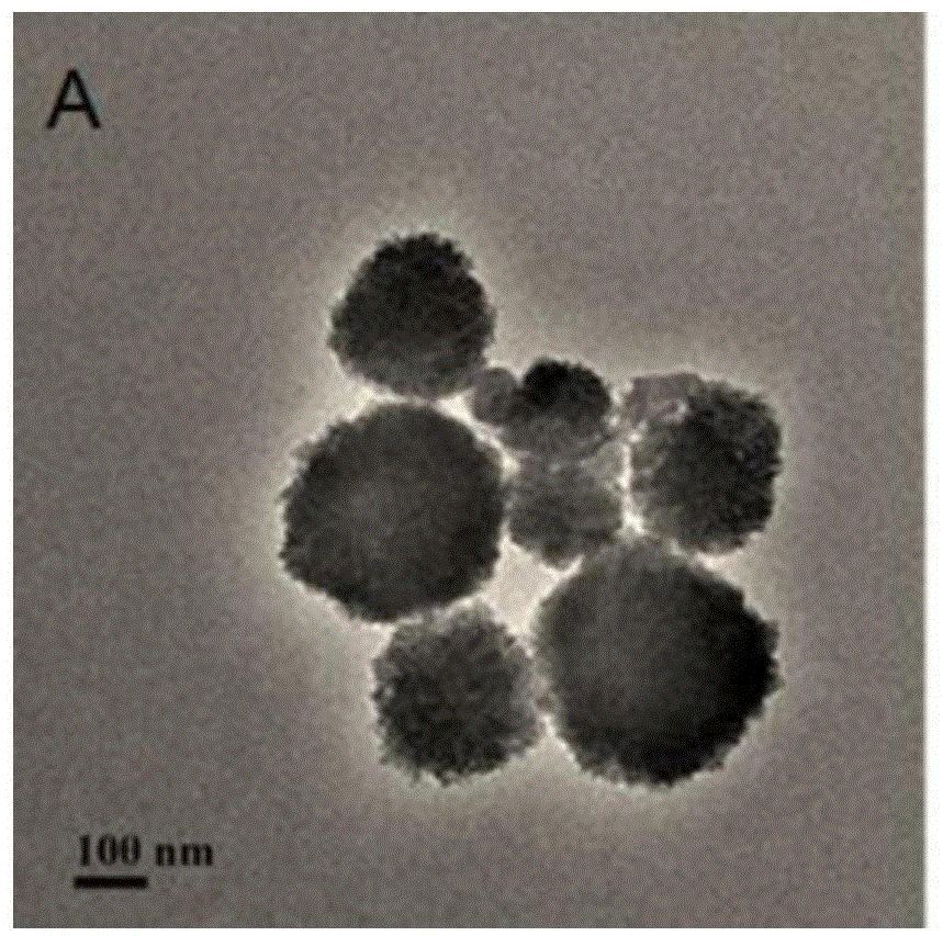 Method for detecting recovery rate of [2,2-bis(4-hydroxyphenol)propane] absorbed by using aptamer functional magnetic nanomaterial