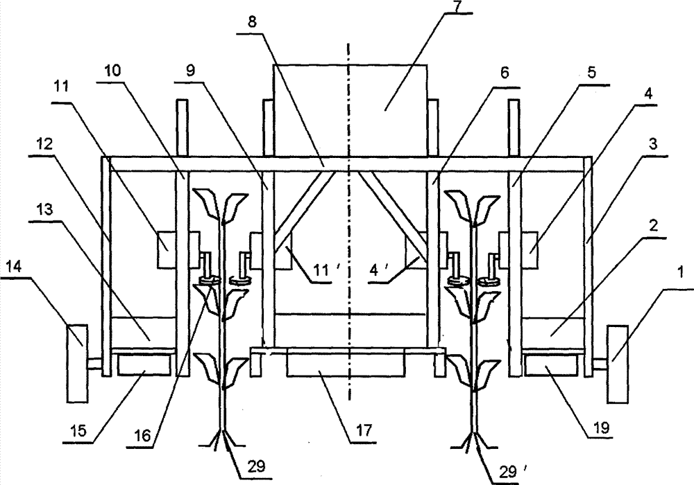 Tobacco harvesting machine with eccentric wheel