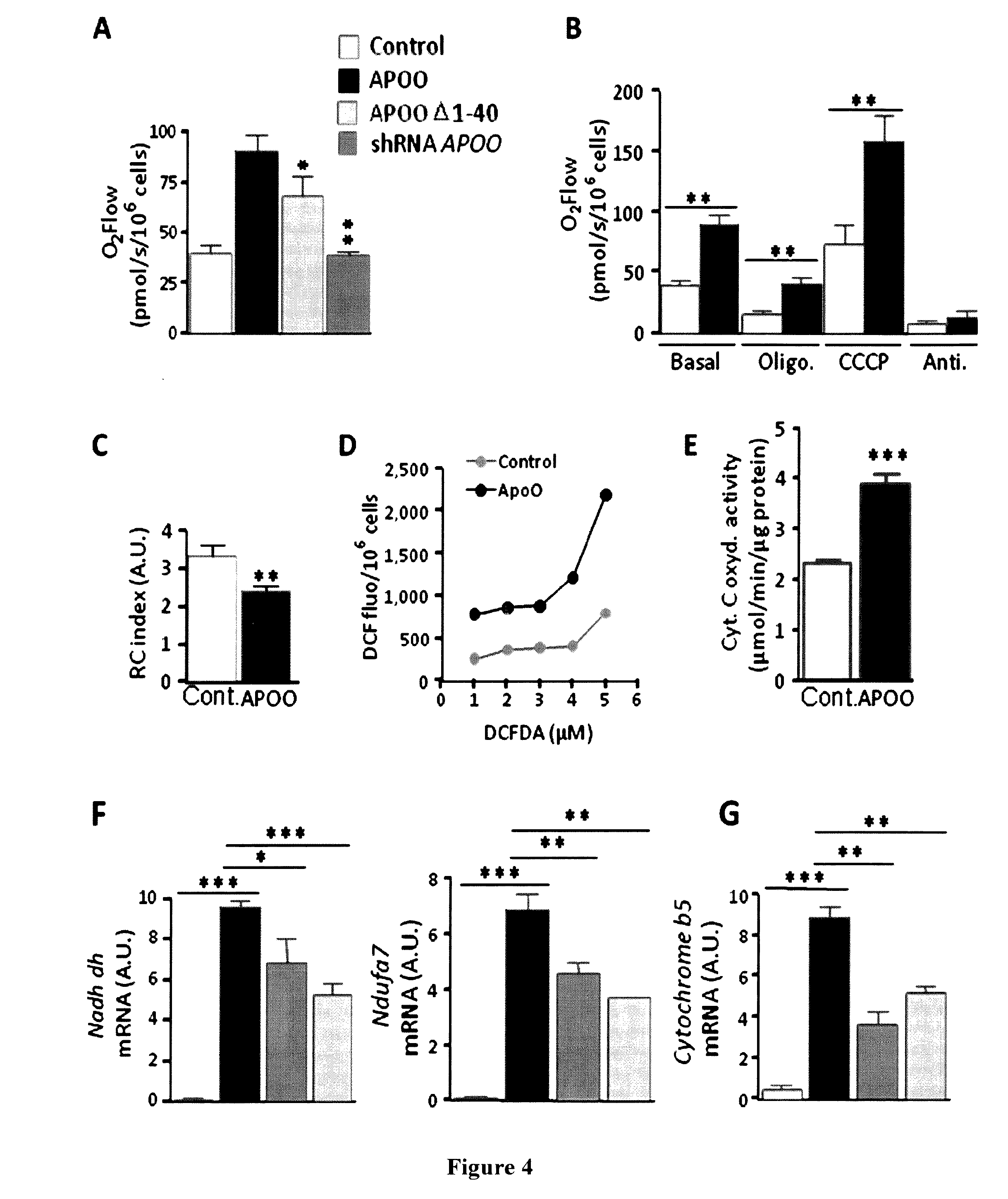 ApoO FOR USE IN A METHOD FOR TREATING CANCER AND VARIOUS PATHOPHYSIOLOGICAL SITUATIONS