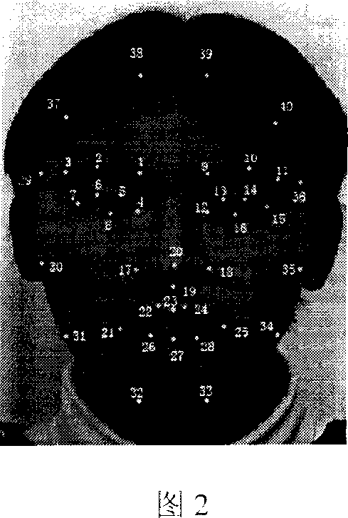 Video flow based three-dimensional dynamic human face expression model construction method