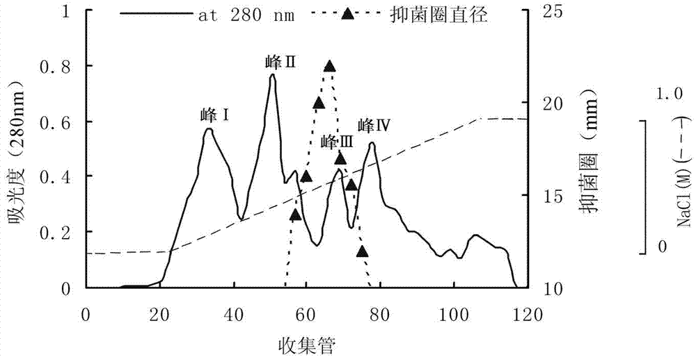 Technique for preparing antimicrobial peptide by using Bacillus subtilis