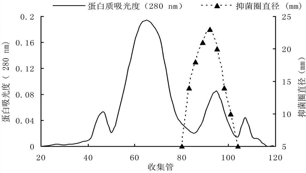 Technique for preparing antimicrobial peptide by using Bacillus subtilis