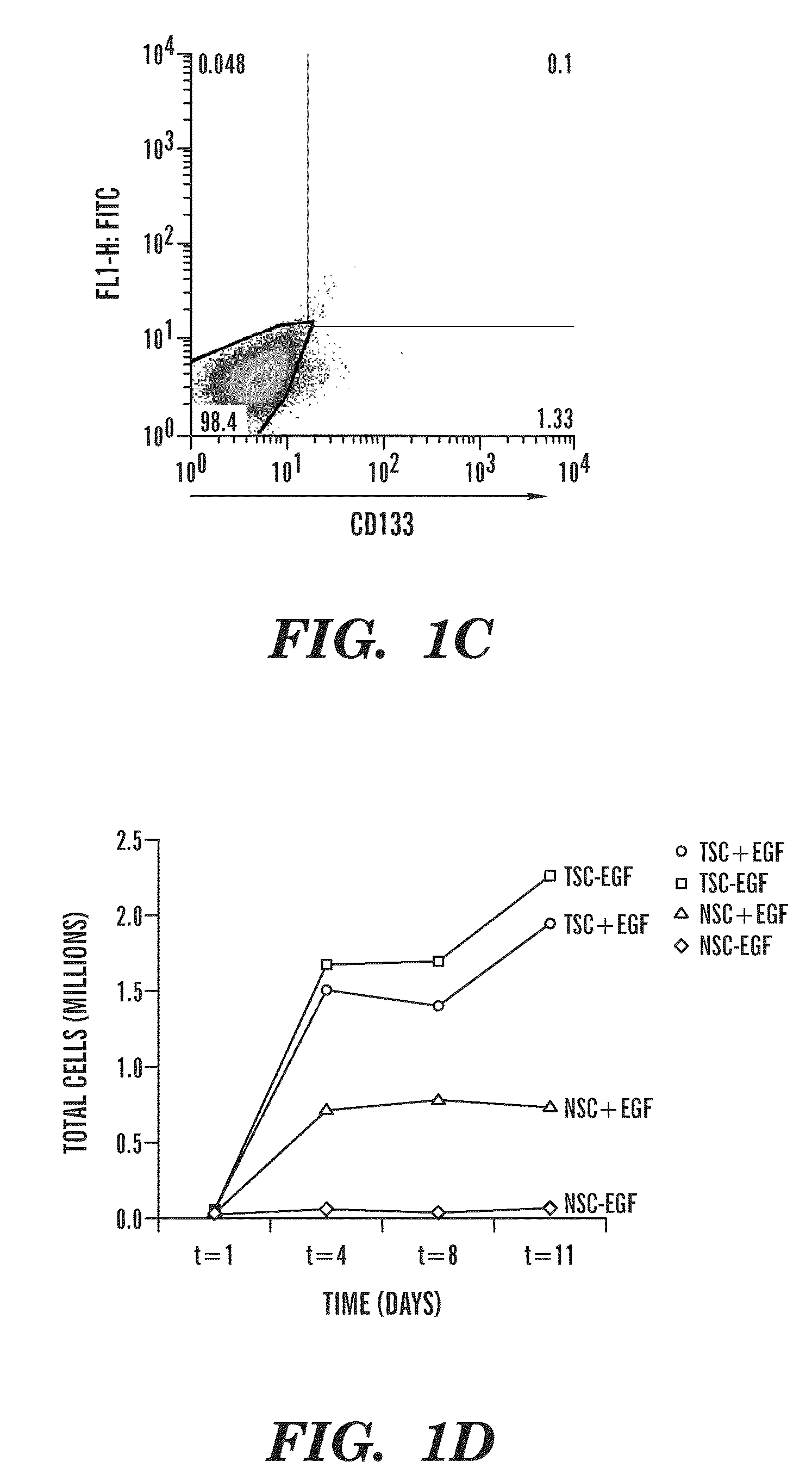 Diagnostic and prognosis methods for cancer stem cells