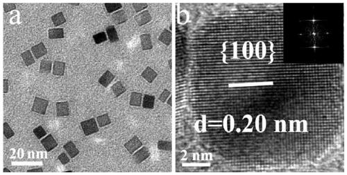 Applications of Palladium Nanomaterials