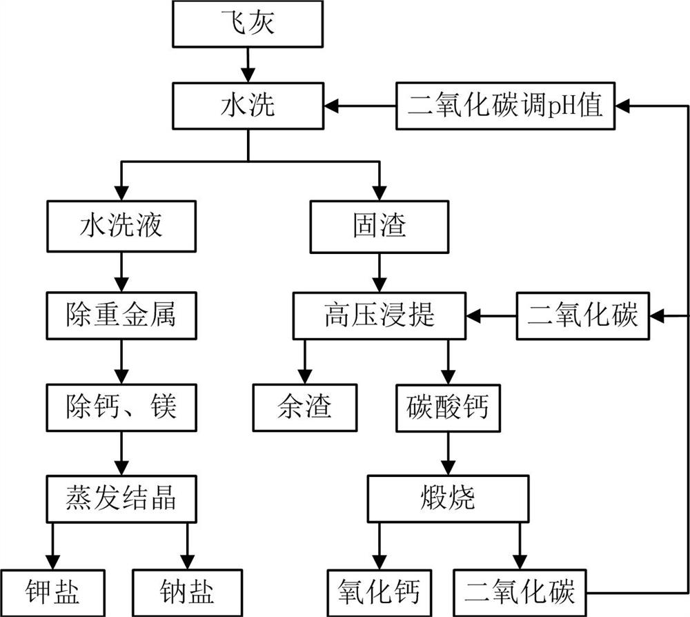 Carbon dioxide high-pressure extraction and decalcification process for fly ash