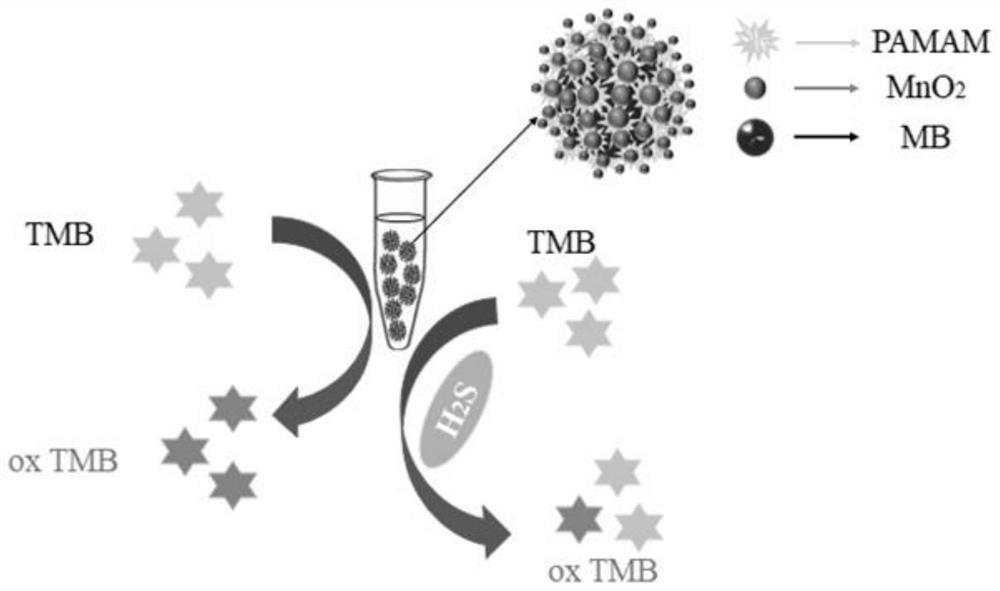 Hydrogen sulfide detection method based on colorimetric analysis and application