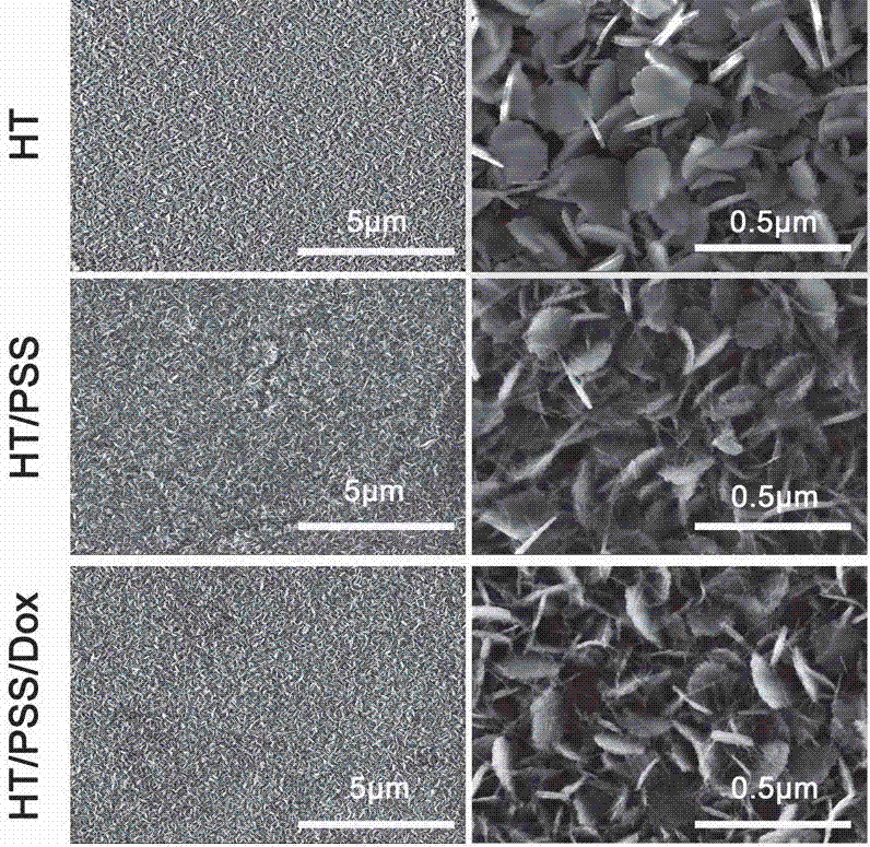 A kind of nickel-titanium alloy drug-loaded material and preparation method thereof