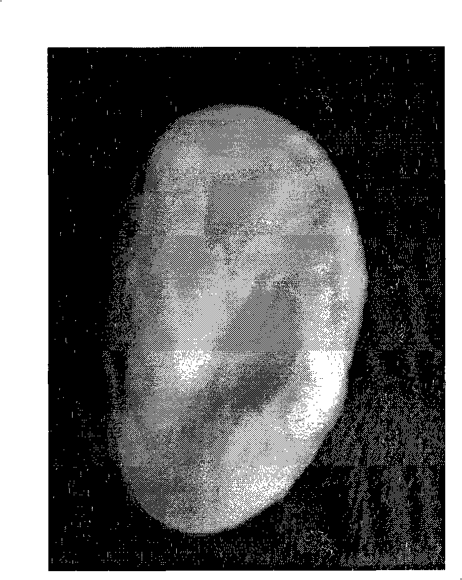 Hyaluronic acid modified polycaprolactone/polylactic acid three-dimensional stephanoporate compound stent and preparation