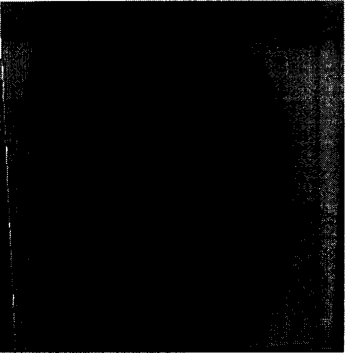 Fingerprint information hiding and verifying method based on two-dimensional bar code