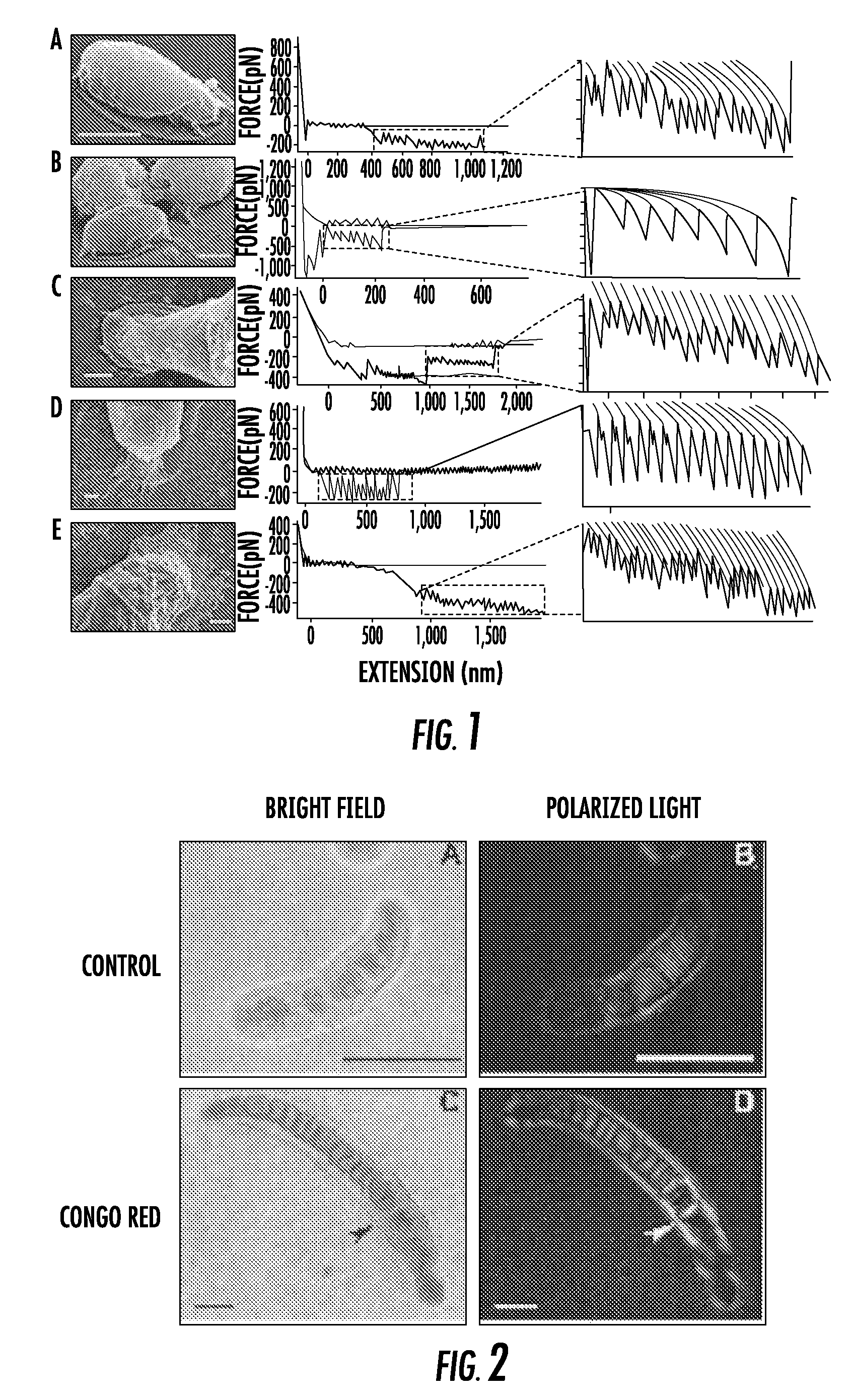 Amyloid and amyloid-like structures