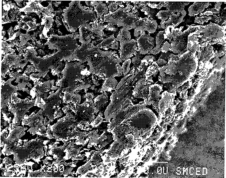 Method for preparing modified ultra-high molecular mass polyethylene micropore filter element