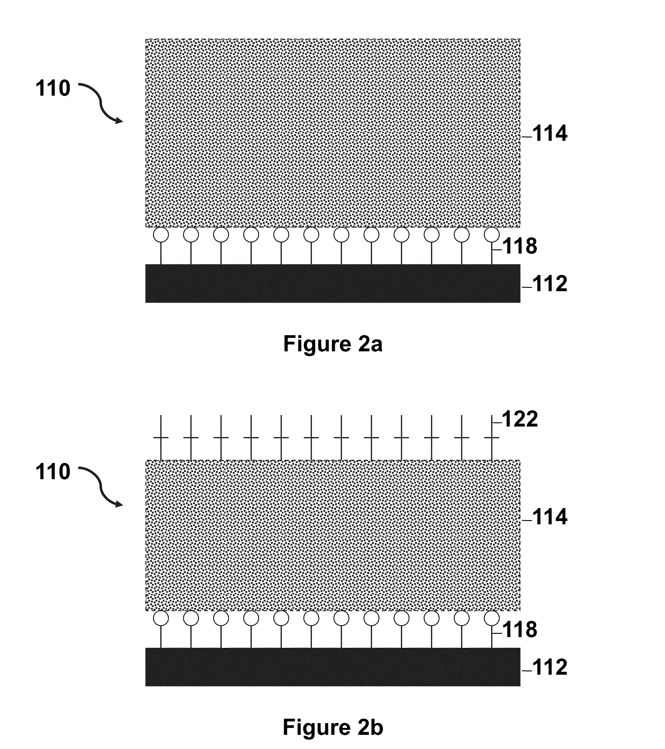 Thermoresponsive cell culture supports