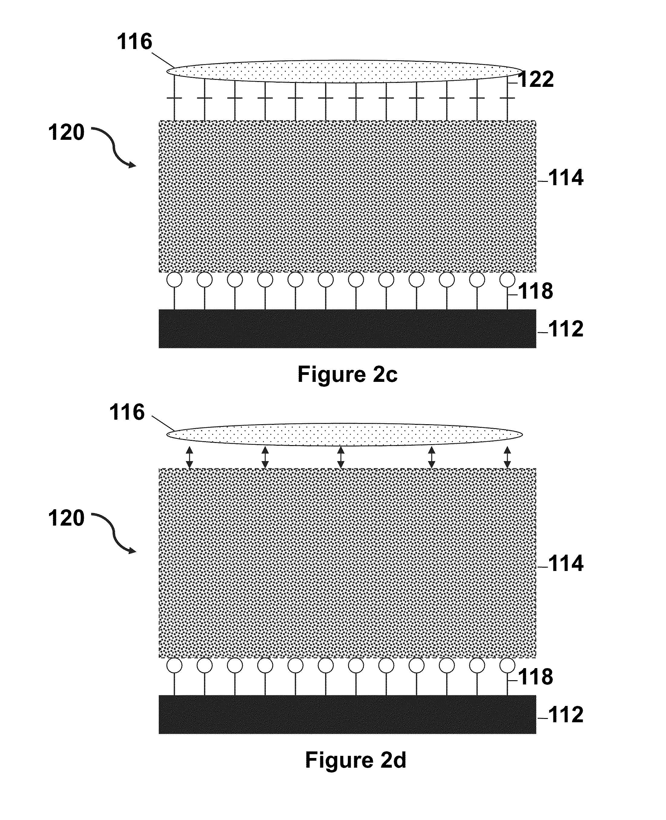 Thermoresponsive cell culture supports