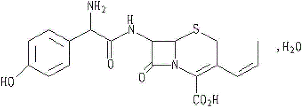 Cefprozil capsule and preparation method thereof