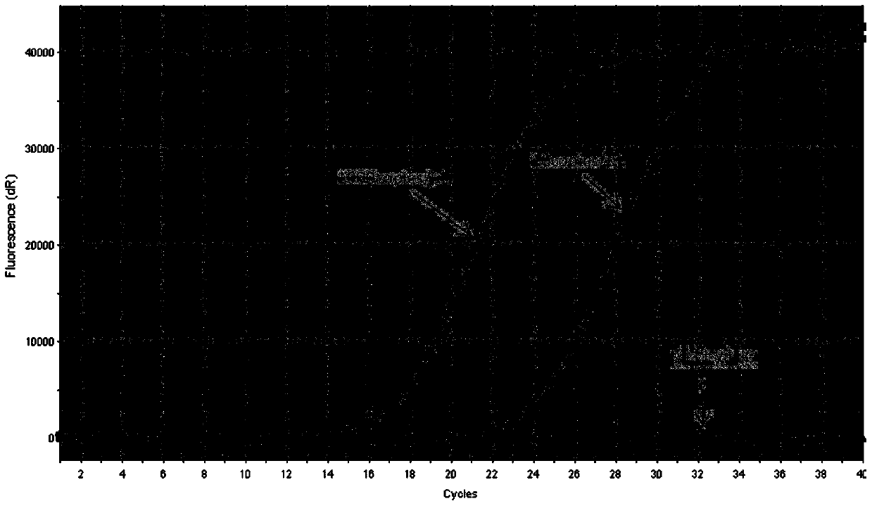 Primers, probes, detection systems and kits for one-time detection of multiple genes in lung cancer