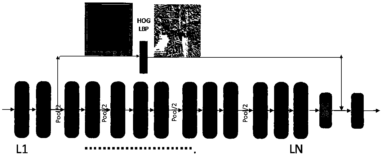 A deep network pedestrian detection method based on shallow feature fusion guidance